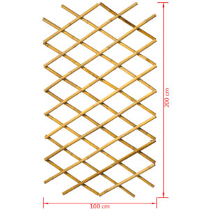 Nature Trädgårdsspaljé 100x200 cm Bambu 6040722 - Bild 7