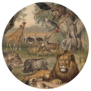 WallArt Tapet cirkelformad Animals of Africa 142,5 cm - Bild 2