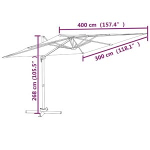 vidaXL Frihängande parasoll med aluminiumstång vinröd 400x300 cm - Bild 10