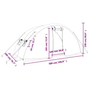 vidaXL Växthus med stålram vit 10 m² 5x2x2,3 m - Bild 12