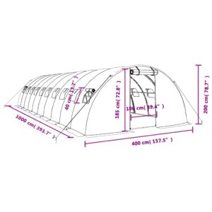 vidaXL Växthus med stålram grön 40 m² 10x4x2 m - Bild 12