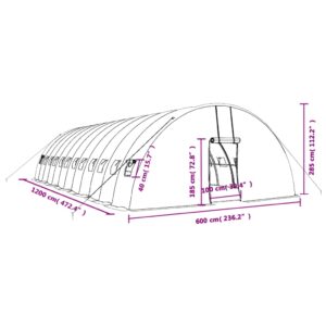 vidaXL Växthus med stålram grön 72 m² 12x6x2,85 m - Bild 12