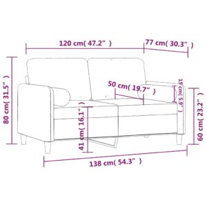 vidaXL 2-sitssoffa med prydnadskuddar ljusgrå 120 cm sammet - Bild 8