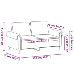 vidaXL 2-sitssoffa mörkgrå 120 cm sammet - Bild 8