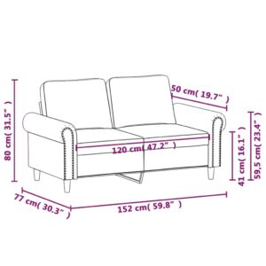 vidaXL 2-sitssoffa ljusgrå Svart 120 cm sammet - Bild 8