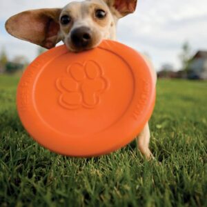 Zogoflex Hundfrisbee Zisc storlek L orange 1937 - Bild 2