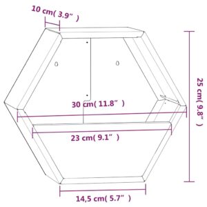 vidaXL Odlingslådor för vägg 2 st rosttrögt stål 30x10x25 cm - Bild 9