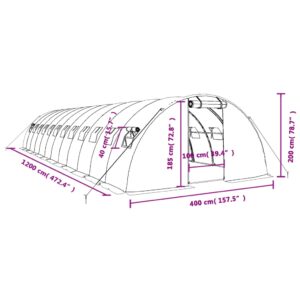 vidaXL Växthus med stålram grön 48 m² 12x4x2 m - Bild 12