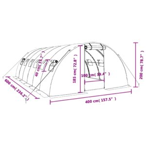 vidaXL Växthus med stålram vit 24 m² 6x4x2 m - Bild 12