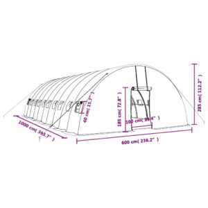 vidaXL Växthus med stålram grön 60 m² 10x6x2,85 m - Bild 12