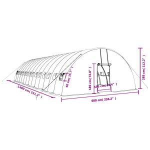 vidaXL Växthus med stålram grön 84 m² 14x6x2,85 m - Bild 12