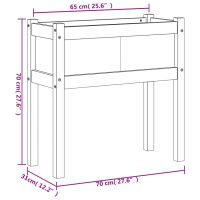 vidaXL Odlingslådor 2 st med ben massivt douglasträ - Bild 11