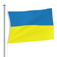 vidaXL Ukrainas flagga med mässingsöljetter 90x150 cm - Bild 3