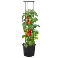 vidaXL Kruka för tomatplanta Ø29,5x115 cm polypropylen - Bild 2