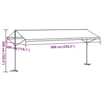 vidaXL Fristående markis blå och vit 600x300 cm tyg och stål - Bild 11