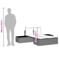 vidaXL Dubbel solsäng med dynor svart konstrotting - Bild 10