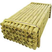 vidaXL Staketstolpar spetsiga 50 st impregnerat trä 10x240 cm - Bild 2