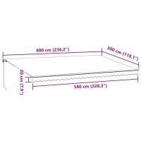 vidaXL Markis manuellt infällbar med LEDs antracit och vit 600x300 cm - Bild 11