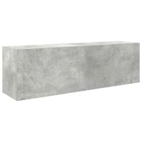 vidaXL Väggskåp för badrum betonggrå 100x25x30 cm konstruerat trä - Bild 2